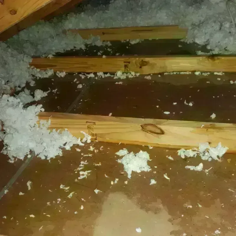 Attic Water Damage in Springville, VA